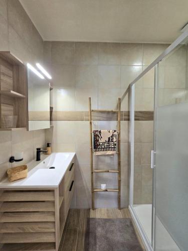 a bathroom with a sink and a shower at Jonadam in Saint-Julien-de-Lampon