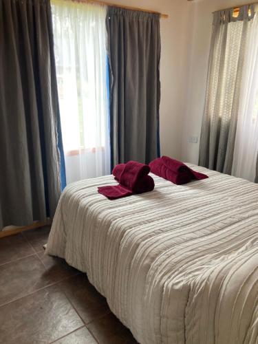 een slaapkamer met een bed met rode kussens erop bij cabaña La Ufu 2 in Las Golondrinas