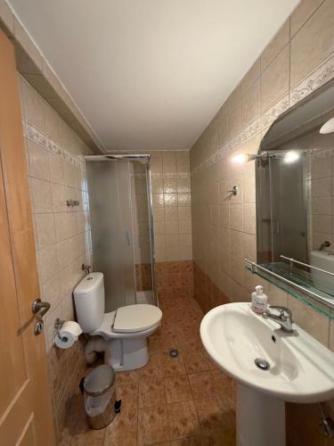 a bathroom with a toilet and a sink and a shower at Chalet Vasilitsa in Grevena