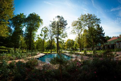 a pool in a garden with trees and flowers at Willa Różana in Nałęczów