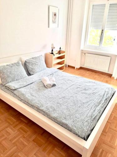 3 Room City Center Flat, Zurich HB Konrad