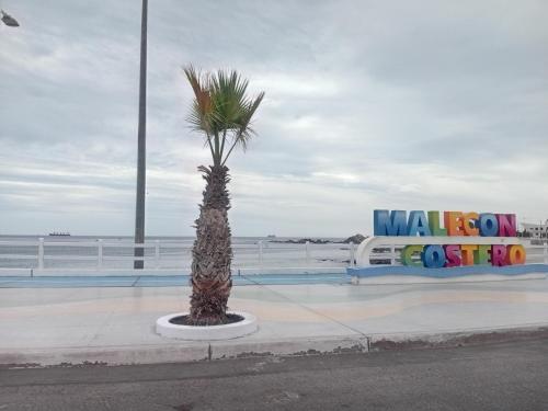 een palmboom op een stoep bij het strand bij Departamento in Ilo