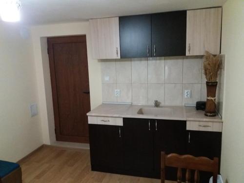 een keuken met een spoelbak en een aanrechtblad bij Къща за гости Казакови in Kotel