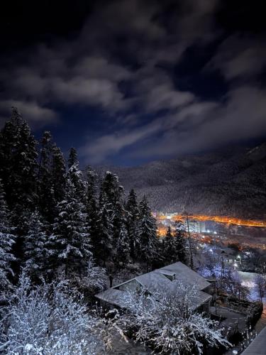 Naturlandskabet i nærheden af hotellet