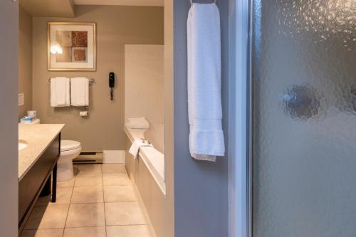un bagno con wc, lavandino e doccia di Sherwood Inn a Port Carling