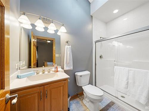 a bathroom with a toilet and a sink and a shower at Beautiful home in Bridgeview! in Bridgeview