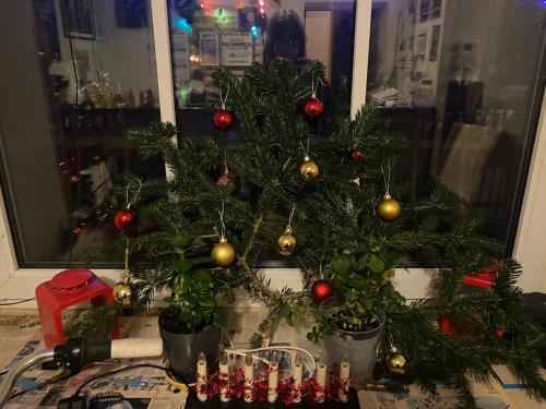 een kerstboom in een venster met versieringen eraan bij Rock'n'hostel in Vilnius