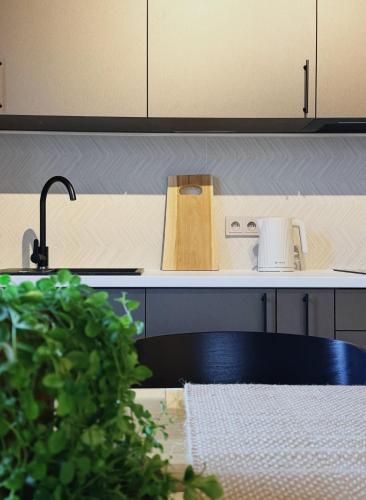 a kitchen with a sink and a counter top at Leśniczanka in Brenna