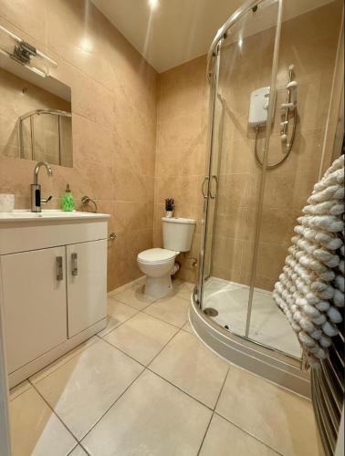 a bathroom with a shower and a toilet and a sink at Cozy Studio Flat in Bradford City Centre in Bradford