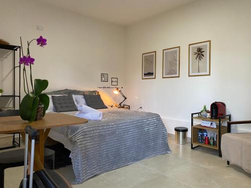 een slaapkamer met een bed en een tafel erin bij Pousada CTL Igarassu in Igarassu