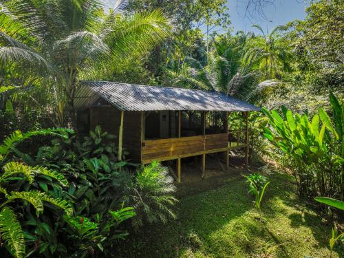 En have udenfor Private jungle “Loft del Rio” river access