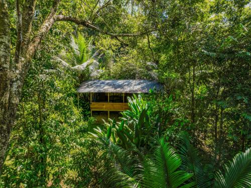 Naturlandskabet i nærheden af lodgen
