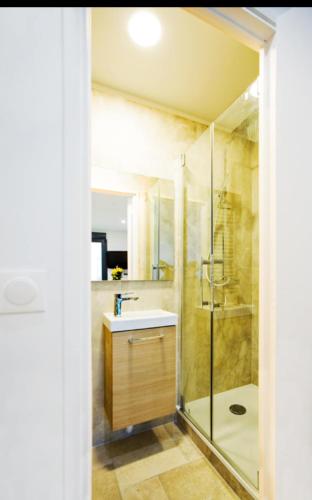 a bathroom with a sink and a shower at Paris sud studio cosy in Arcueil