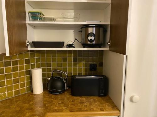 a kitchen with a cupboard with a tea pot in it at Cara Nima Schwyz in Schwyz