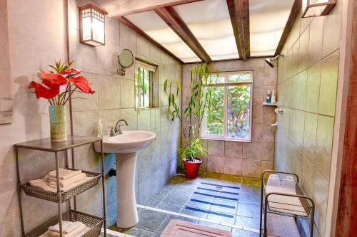 a bathroom with a sink and a toilet at Volcano Artist Cottage in Volcano