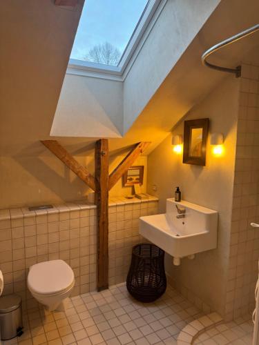 ein Bad mit einem Waschbecken und einem WC mit einem Dachfenster in der Unterkunft Lysbjerggård Bed & Break in Herning