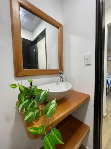a bathroom with a sink and a mirror and a plant at Posada Kotnat in San Andrés