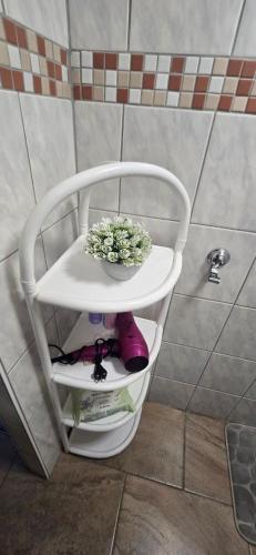 a white shelf with a plant on it in a bathroom at Small, cozy tiny apartment, complete in Lichtenau