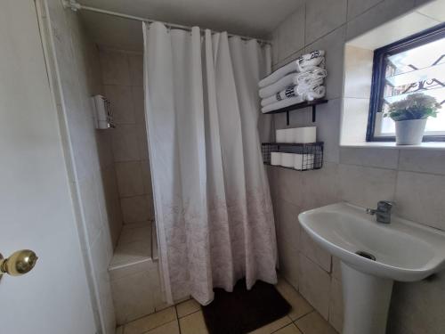 une salle de bain avec un rideau de douche et un lavabo dans l'établissement El Chalet del Gato, apartamento 3, à Viña del Mar