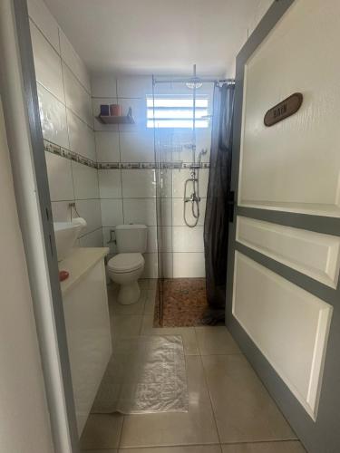 e bagno con servizi igienici, doccia e porta. di Les gites de Saint Michel - Purple a Grand-Bourg