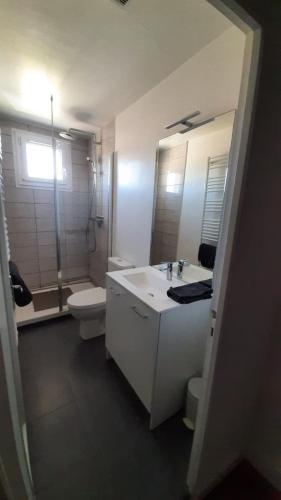 a bathroom with a sink and a toilet and a mirror at Maison avec cour et jardin in Marolles-sur-Seine