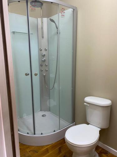 a bathroom with a shower and a toilet at Casona Pretton in Valparaíso