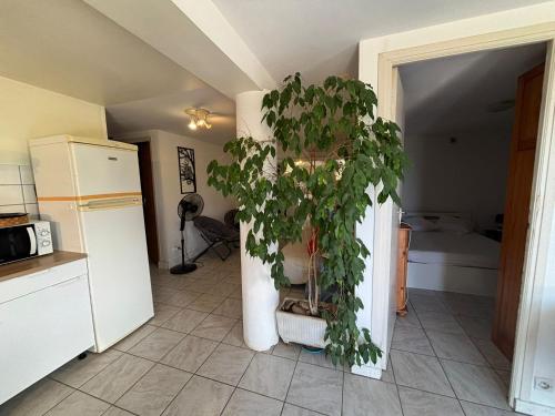 Ảnh trong thư viện ảnh của Rez de villa de 45 m2 Afa calme et fleuri ở Afa