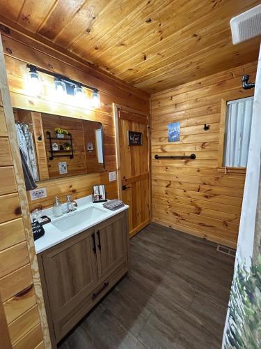 a bathroom with a sink in a log cabin at Hillside Hideaway Cabin in Blairsville