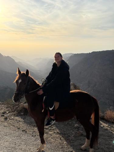 Animaux dans l'hôtel ou à proximité