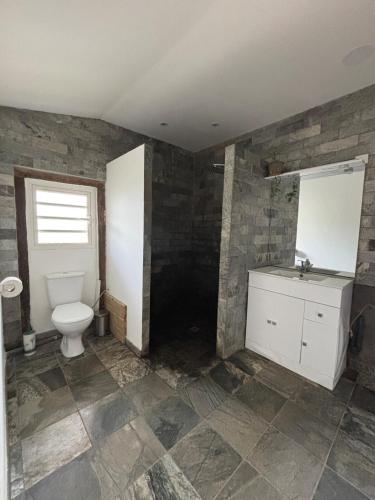a bathroom with a toilet and a sink at Location l'îlot tropical in Le Bois de Nèfles