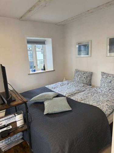 a bedroom with two beds and a television in it at Bed & Breakfast “Den Gamle Lade I Hejls” in Hejls