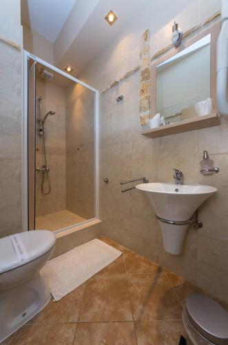 a bathroom with a shower and a toilet and a sink at Sobe Gora in Posedarje
