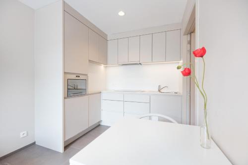 Η κουζίνα ή μικρή κουζίνα στο Bonobo Apartments