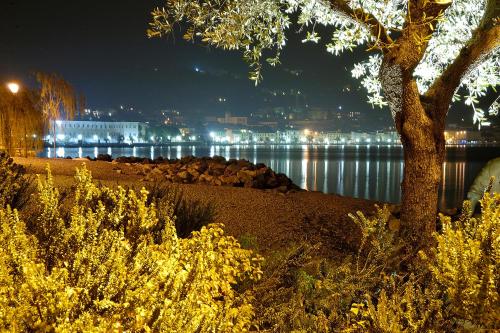 a tree sitting next to a body of water at night at Antico Teatro signorile in Salò