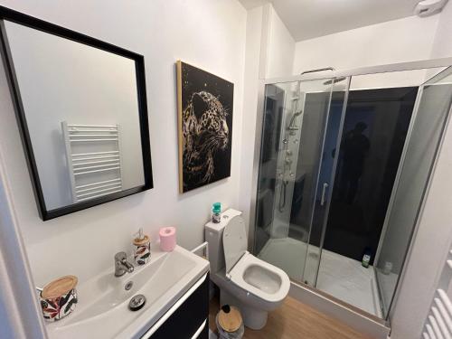 een badkamer met een wastafel, een toilet en een douche bij Romantic Victorian guest room calm environment in Gragnague