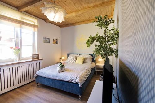オルシュティンにあるApartament Varmiaの植物が植えられたベッド付きのベッドルーム1室