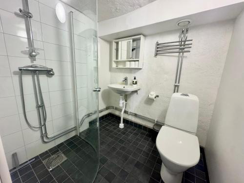 ein Badezimmer mit Dusche, Toilette und Waschbecken in der Unterkunft Södermalm City Flat in Stockholm