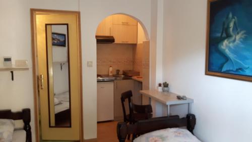 Η κουζίνα ή μικρή κουζίνα στο Spasic Apartment