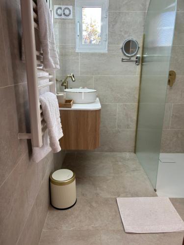 Koupelna v ubytování CHARMANT 2 PIECES DANS VILLA INDIVIDUELLE TERRASSES JARDIN