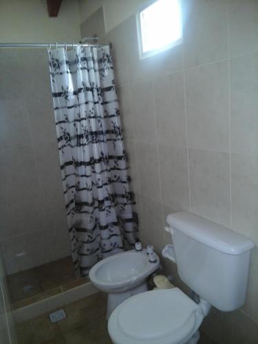 y baño con aseo y cortina de ducha. en Cabaña Los Molles en Cachí