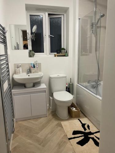 a bathroom with a toilet and a sink and a shower at Room in house close to Dover port in Temple Ewell