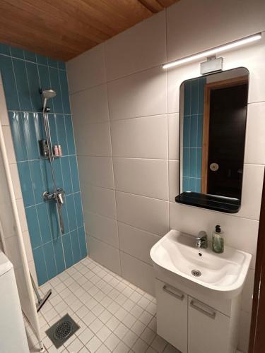 a bathroom with a sink and a shower with a mirror at Sappee Peak Cabin - Bike, Fire, Snow & Adventure in Salmentaka