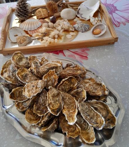 a tray of oysters and shells on a table at mobil-home 468 in Saint-Georges-dʼOléron
