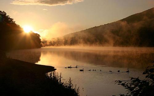 a group of ducks swimming in a lake at sunset at Shawnee Inn and Golf Resort in East Stroudsburg