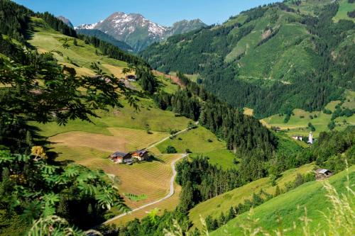 an aerial view of a valley in a mountain at Pfandlinghof in Grossarl