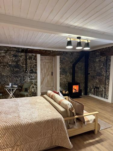 a bedroom with a large bed and a fireplace at Aprosmeno House 6 in Agros