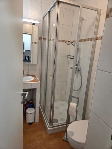 a bathroom with a shower and a toilet and a sink at Inselpause in Wittdün