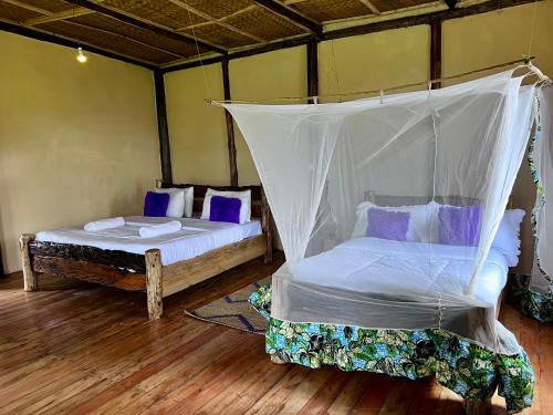 - une chambre avec 2 lits et un lit à baldaquin dans l'établissement Migogo Gorilla Lodge, à Rubuguli