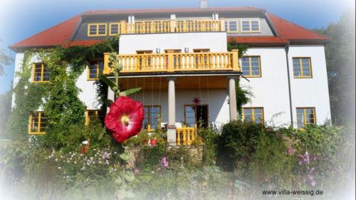 a large white house with a red flower in front of it at Villa Weißig in Struppen