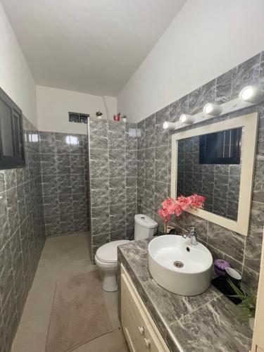 un bagno con lavandino, WC e specchio di Casa Del Mar a M'bour